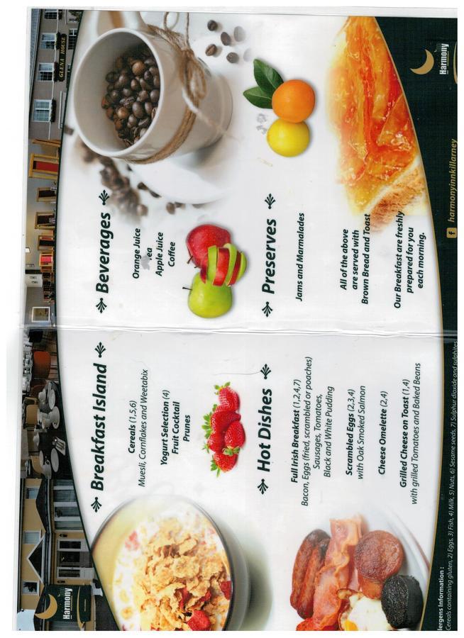 Harmony Inn - Glena House Killarney Ngoại thất bức ảnh